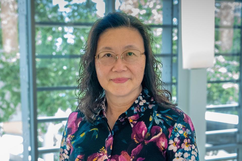 CAPANA | Chinese Accounting Professors' Association of North America