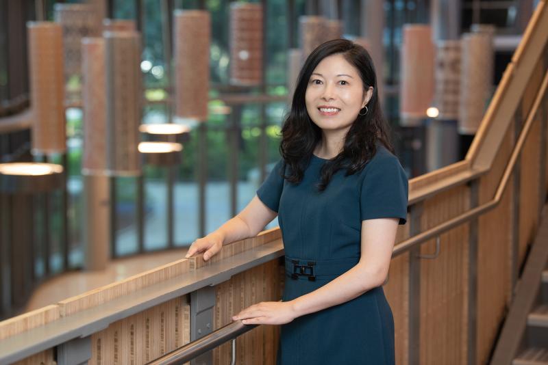 CAPANA | Chinese Accounting Professors' Association of North America